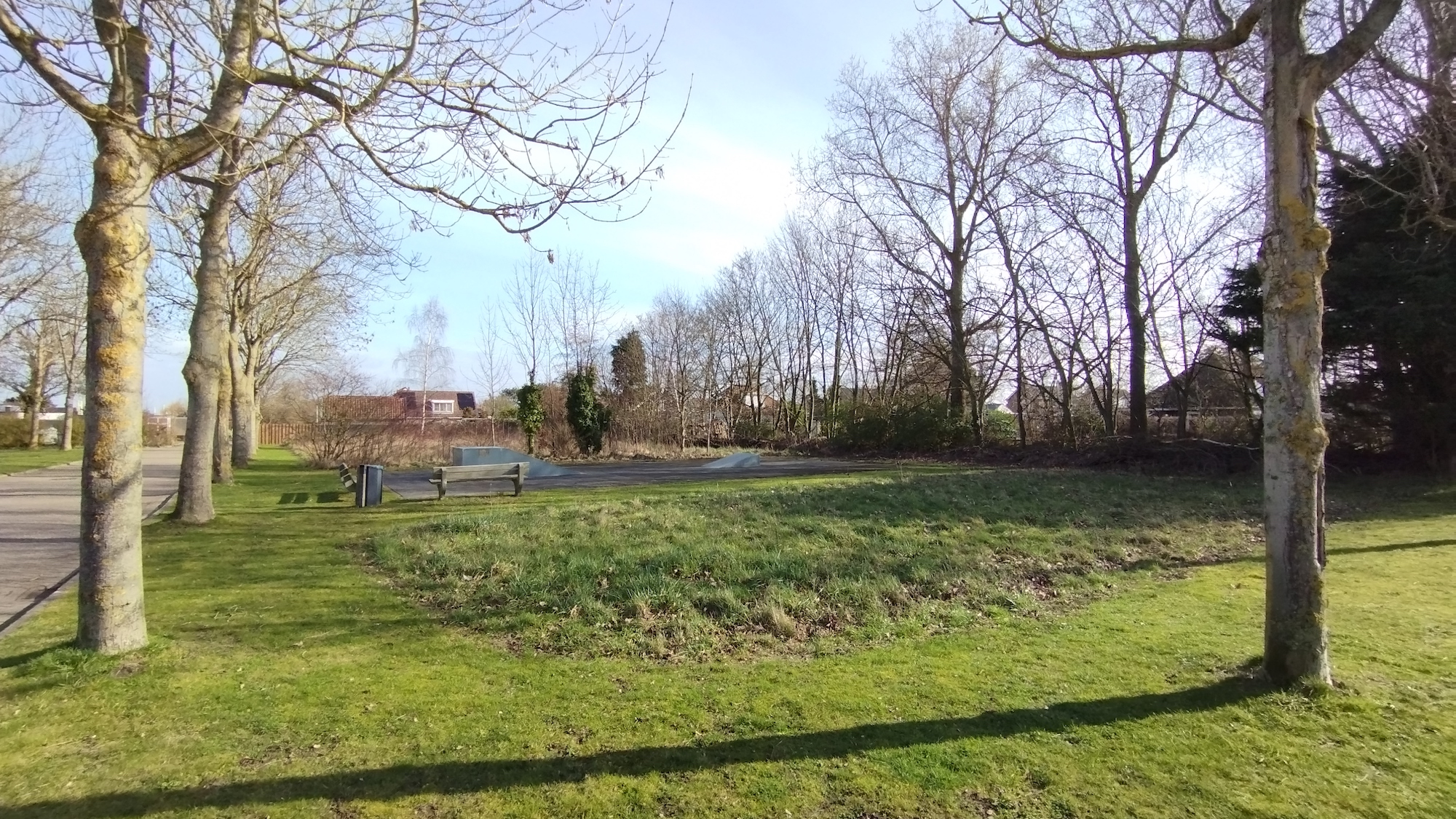 Scharendijke skatepark